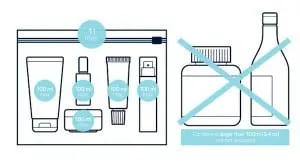 Liquid Bag Hand Luggage