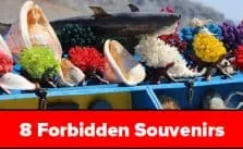 8 forbidden souvenirs