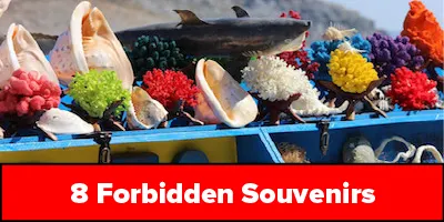 8 forbidden souvenirs