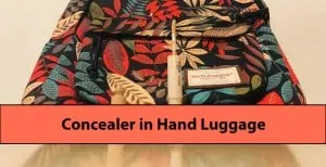 Concealer in Hand Luggage