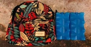 Ice Packs in Hand Luggage