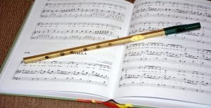 Flute in Carry-On Baggage