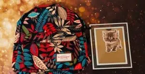 Glass Picture Frame in Hand Luggage