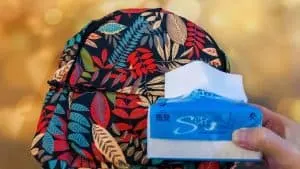 Wet Wipes in Hand Luggage