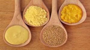 Mustard in Hand Luggage