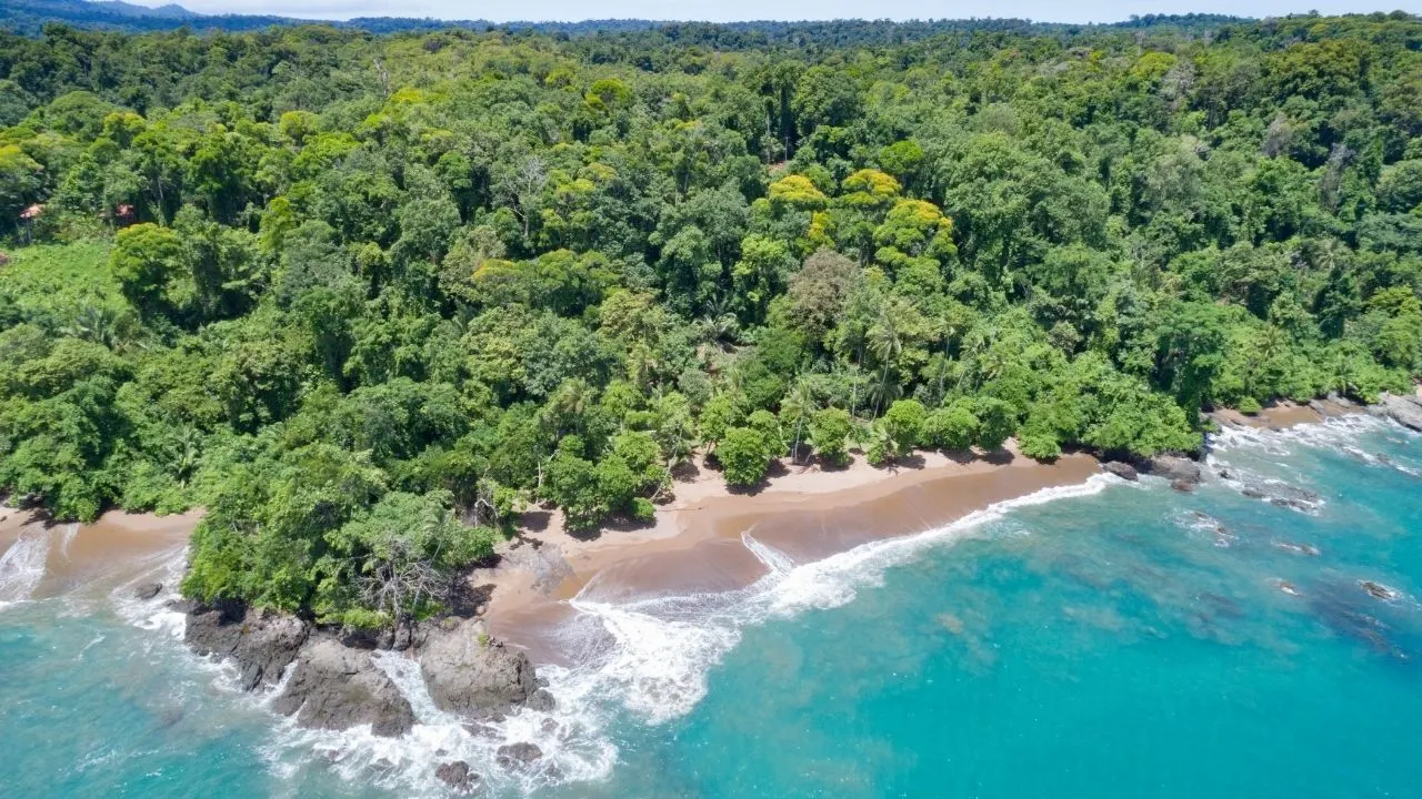 Corcovado National Park