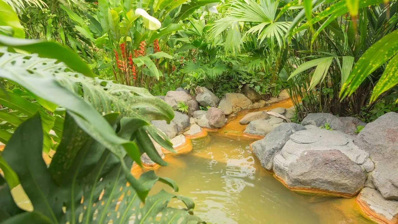 Hot Springs in Costa Rica