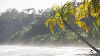 How to Get to Tamarindo Costa Rica