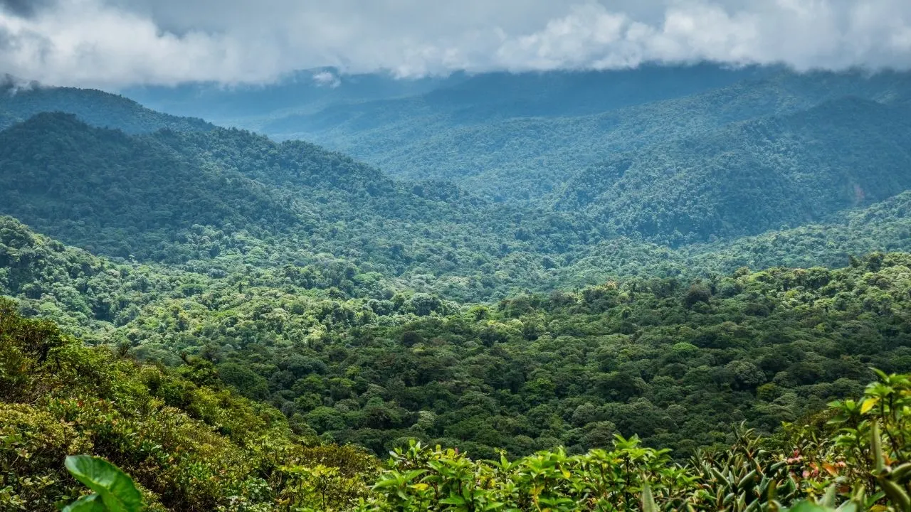 Monteverde Cloud Forest Biological Preserve