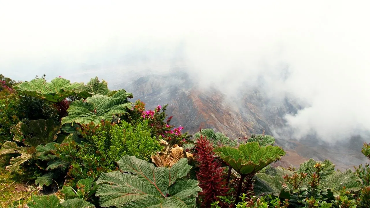 Paos Volcano