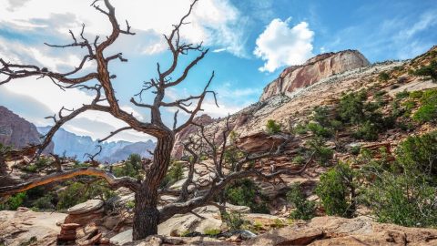 The Best Time to Visit Zion National Park — Read This