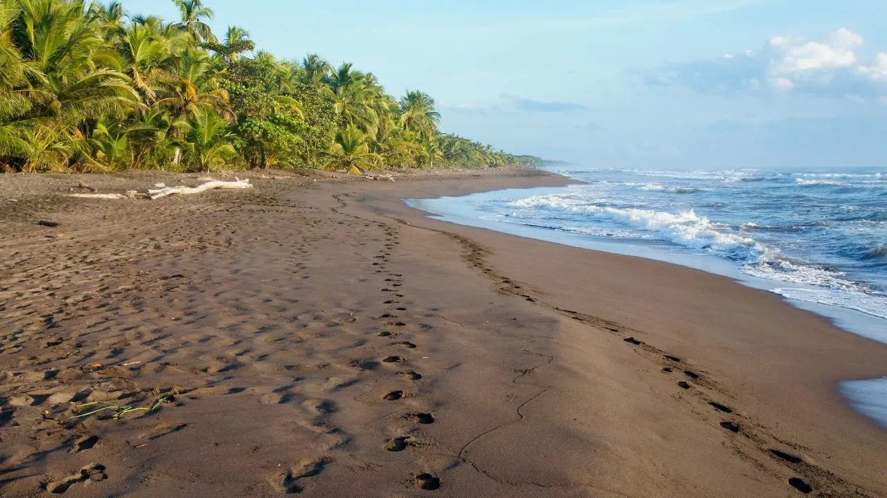 Tortuguero, Costa Rica