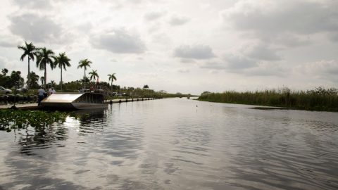 Where to Stay in Everglades National Park