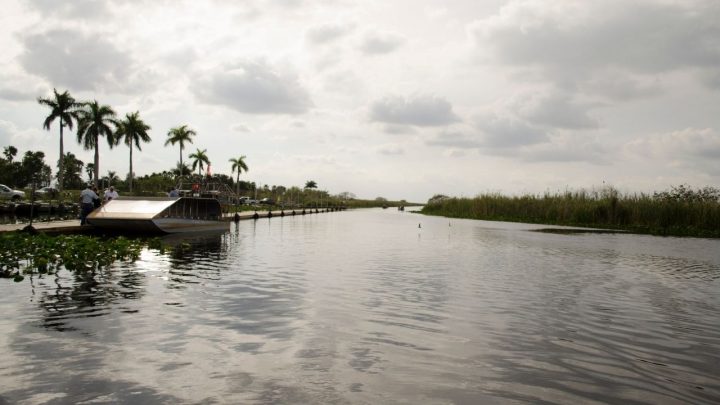 Where to Stay in Everglades National Park? Wow!