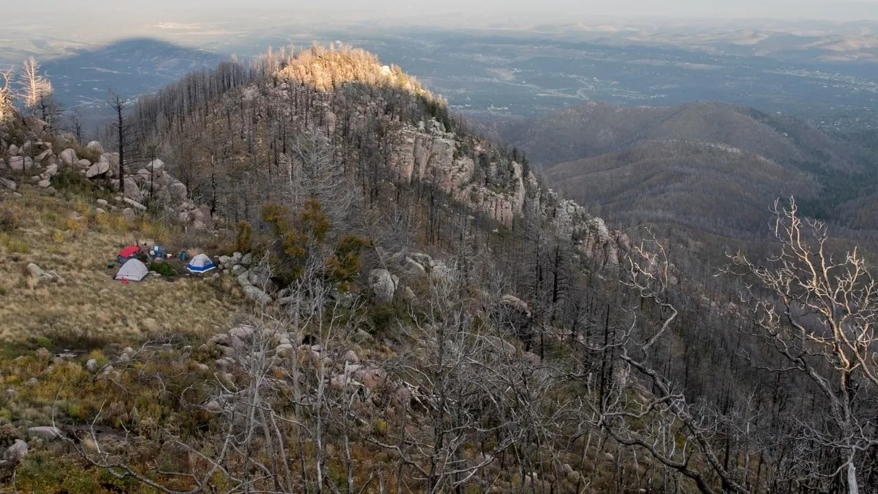 Lincoln National Forest