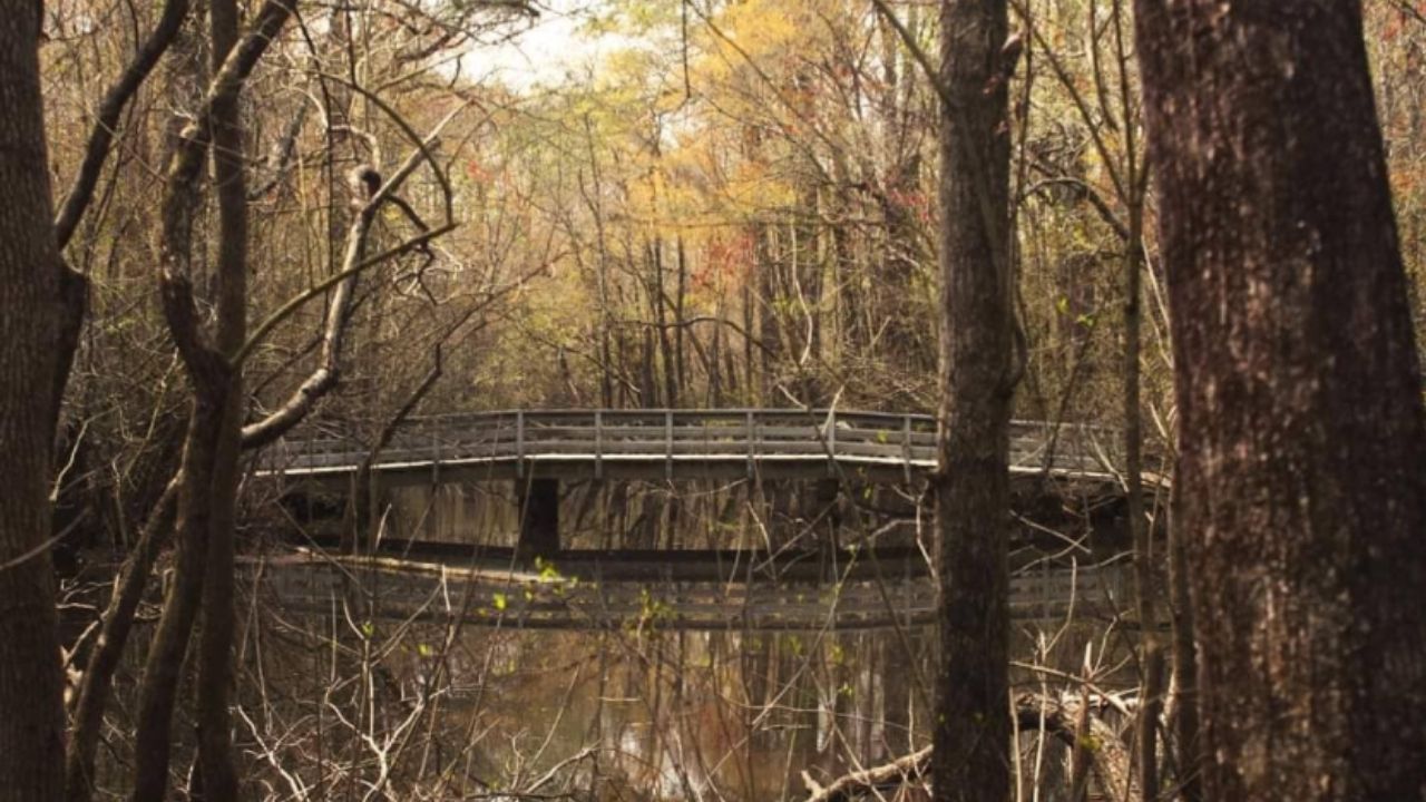 National Parks in North Carolina Moores Creek National Battlefield