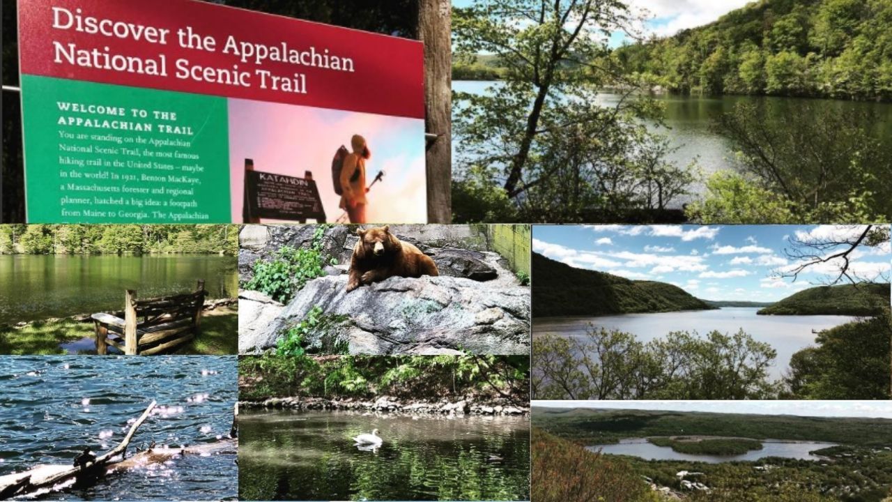 National Parks in Tennessee Appalachian National Scenic Trail