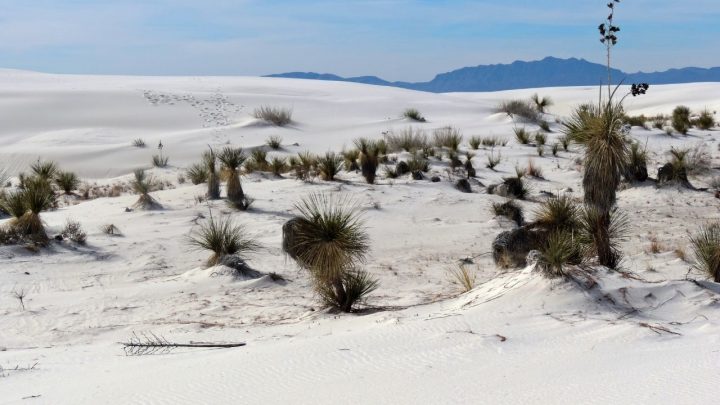 Where to Stay Near White Sands National Park — Take Note!
