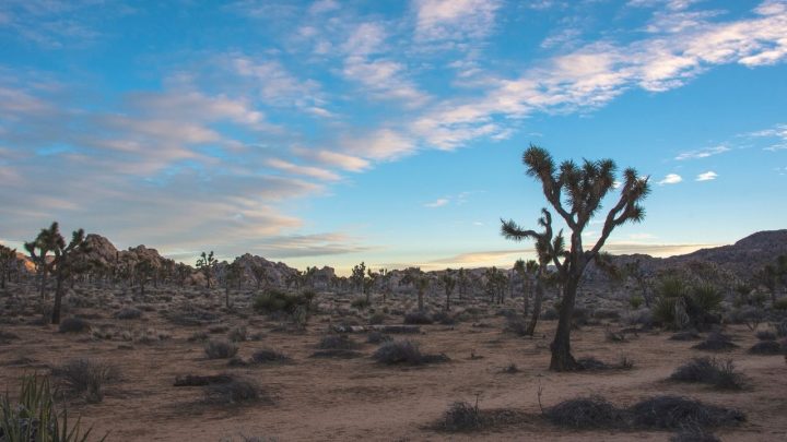 Where to Stay in Joshua Tree National Park — 6 Suggestions