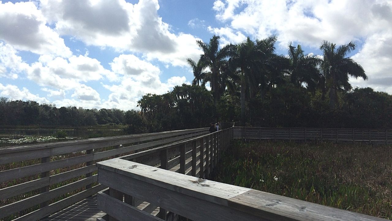 If you want to experience the old Florida charm, Boynton Beach, Florida is the place that offers it