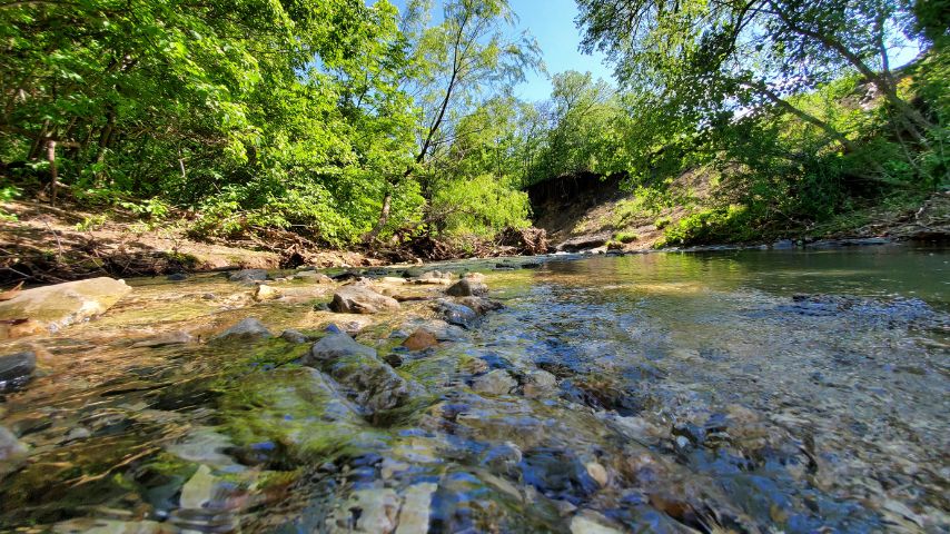 Arbor Hills Nature Preserve is a park that's 200 acres in size with tons of scenic trails.