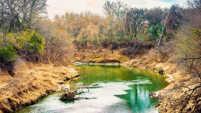Arlington is one of the best suburbs to live around Dallas as you can go trekking through the 100-acre River Legacy Park.