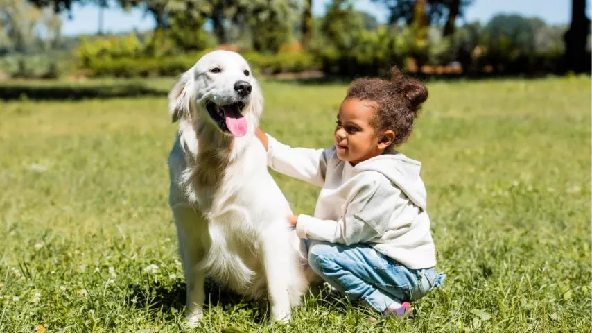 Greenland Hills and the M Streets offer space for both children and dogs to play outdoors.