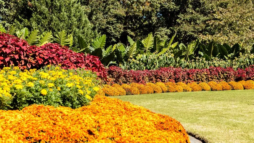 Its proximity to the Dallas Arboretum and Botanical Garden is one of the main attractions of Lake Highlands.