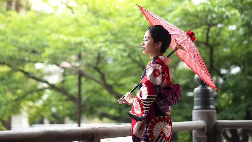Kyoto is also famous for being the heart of Geisha entertainment in Japan.