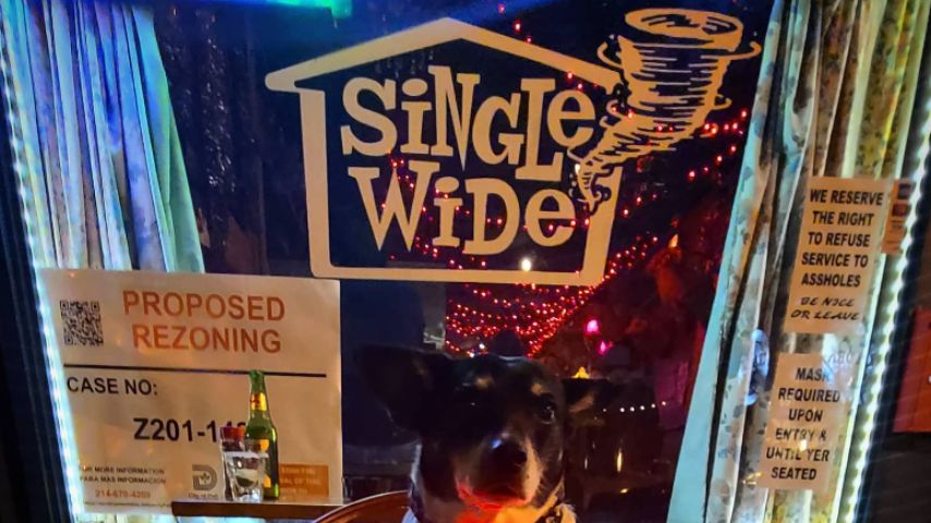 Single Wide is one of the best places to meet singles in Dallas due to its low-key, casual, and comfortable vibe.