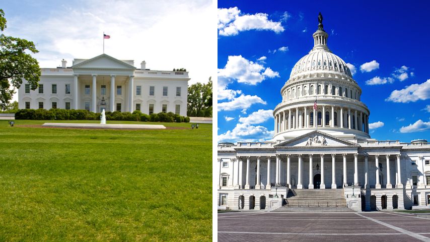 The Whitehouse and the Capitol Building are 2 of the most famous landmarks in Washington, D.C.