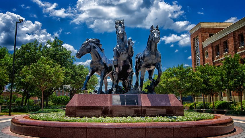 University Park is where Southern Methodist University is located, and gives the neighborhood its name.