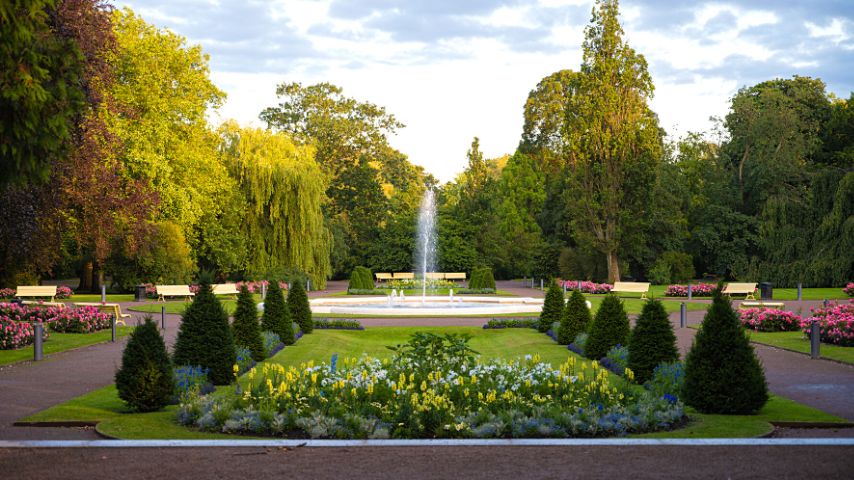 If you want to relax, you can visit Örebro's beautiful park west of the city center called the Stadsparken.