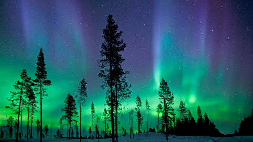 Kiruna is a great place to watch the breathtaking Northern Lights.