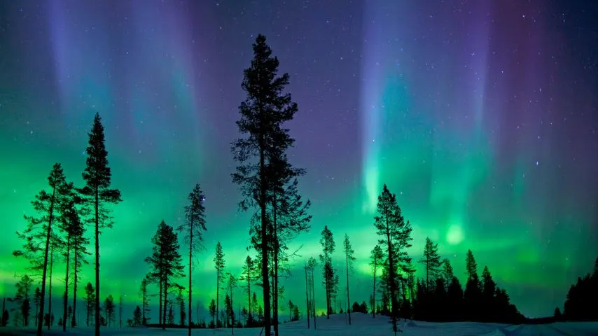Kiruna is a great place to watch the breathtaking Northern Lights.