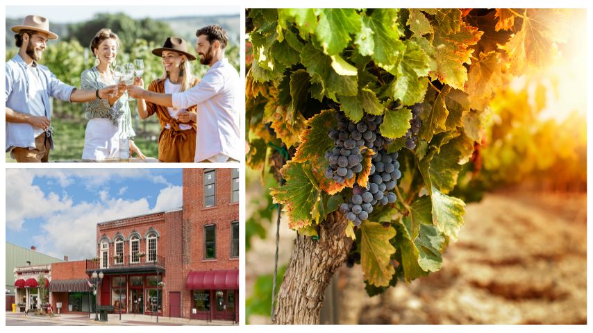 McKinney is known for its Historic Downtown and its vineyards.