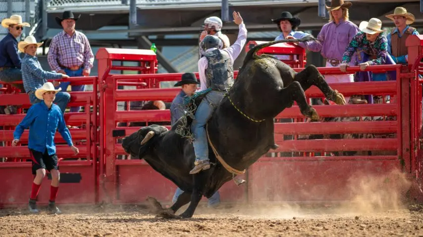 Mesquite is known as Texas' Rodeo Capital.
