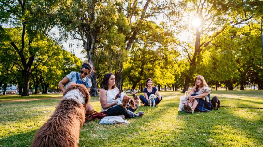 Oak Lawn is home to many green spaces and parks.