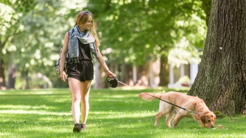 Oak Lawn is pet-friendly and has lots of parks and green spaces.