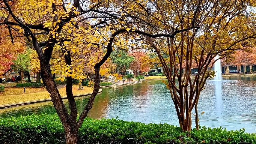 Plano is a green city with lots of parks.