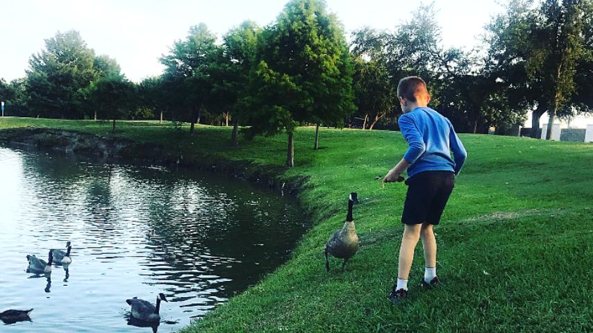 Richardson's locals love hanging out in Cottonwood Park as it features trails, playgrounds, picnic areas, tennis and volleyball courts.