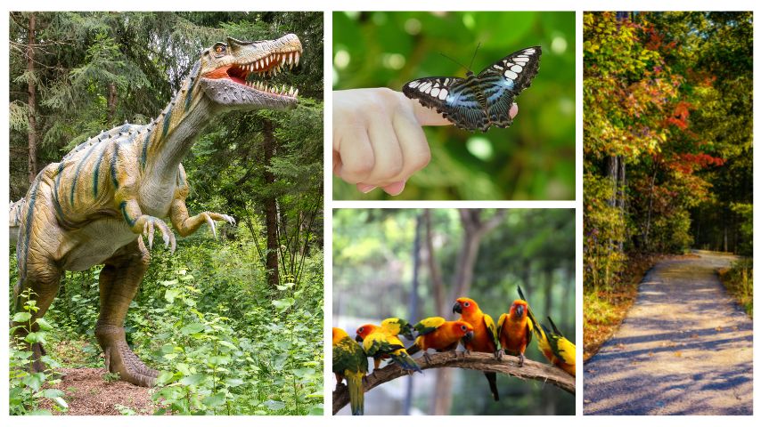 The Heard Natural Science Museum and Wildlife Sanctuary, a 289-acre park, houses various exhibits and activities and is one of McKinney's main attractions.