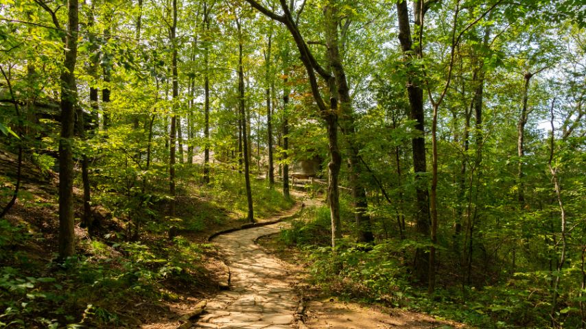 The Bob Jones Nature and Preserve Center allows visitors to enjoy nature through its many hiking trails.