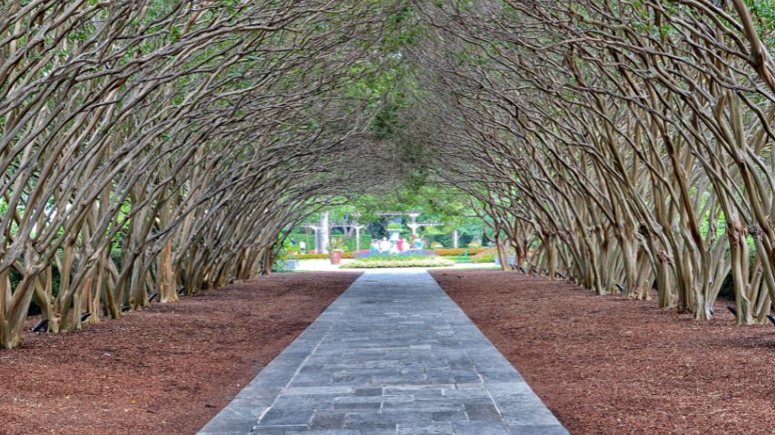 The Dallas Arboretum and Botanical Gardens is located near Lake Highlands.