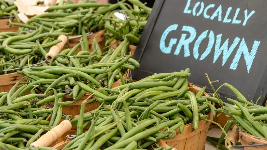 The Dallas Farmers Market is at the heart of the Farmers Market District. Fresh, seasonal produce can be sourced directly from the growers and farmers.