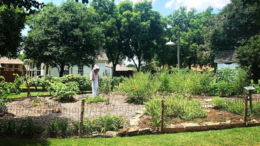 The Heritage Farmstead Museum depicts the life of the Blackland Prairies in the 1800s.