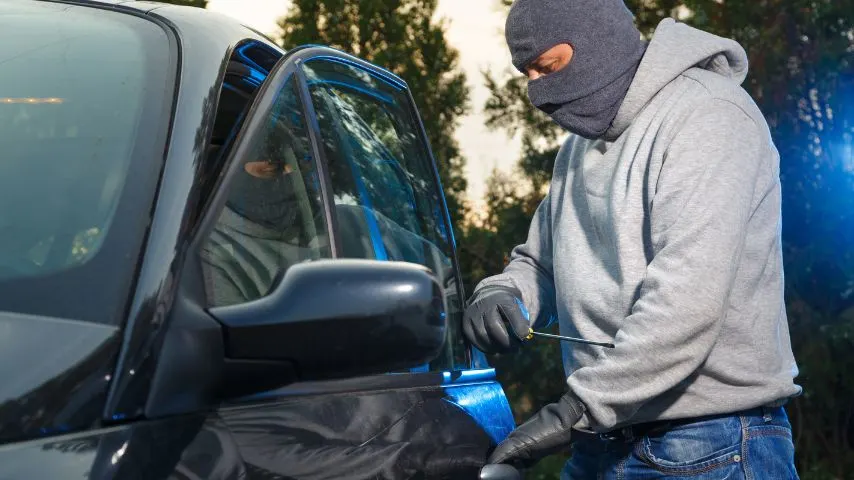 Theft and vehicle theft are the most common crimes committed in Dallas.