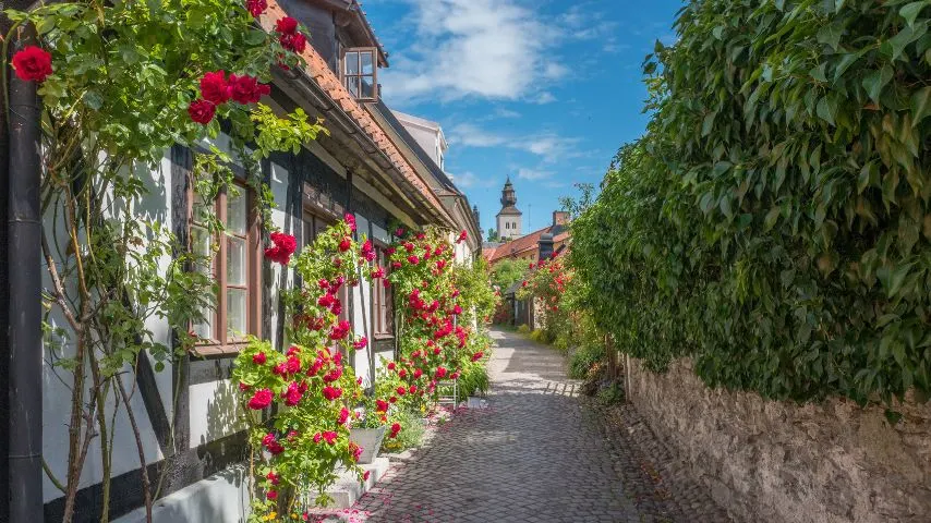 Visby is a picturesque, well-preserved medieval city, a former Hanseatic trading town, located on the beautiful island of Gotland.