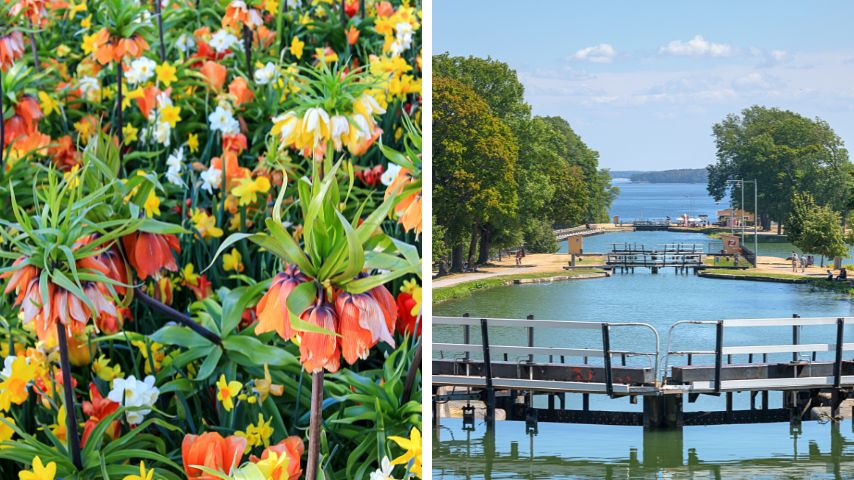 You can visit The Botanical Garden and book a multi-day tour on the Göta Canal from Gothenburg to Stockholm are great ways to have a unique experience in the city.