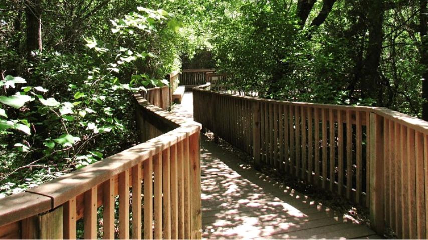 You can go nature tripping in the 66-acre park and wildlife conservation area in Coppell called the Coppell Nature Park.